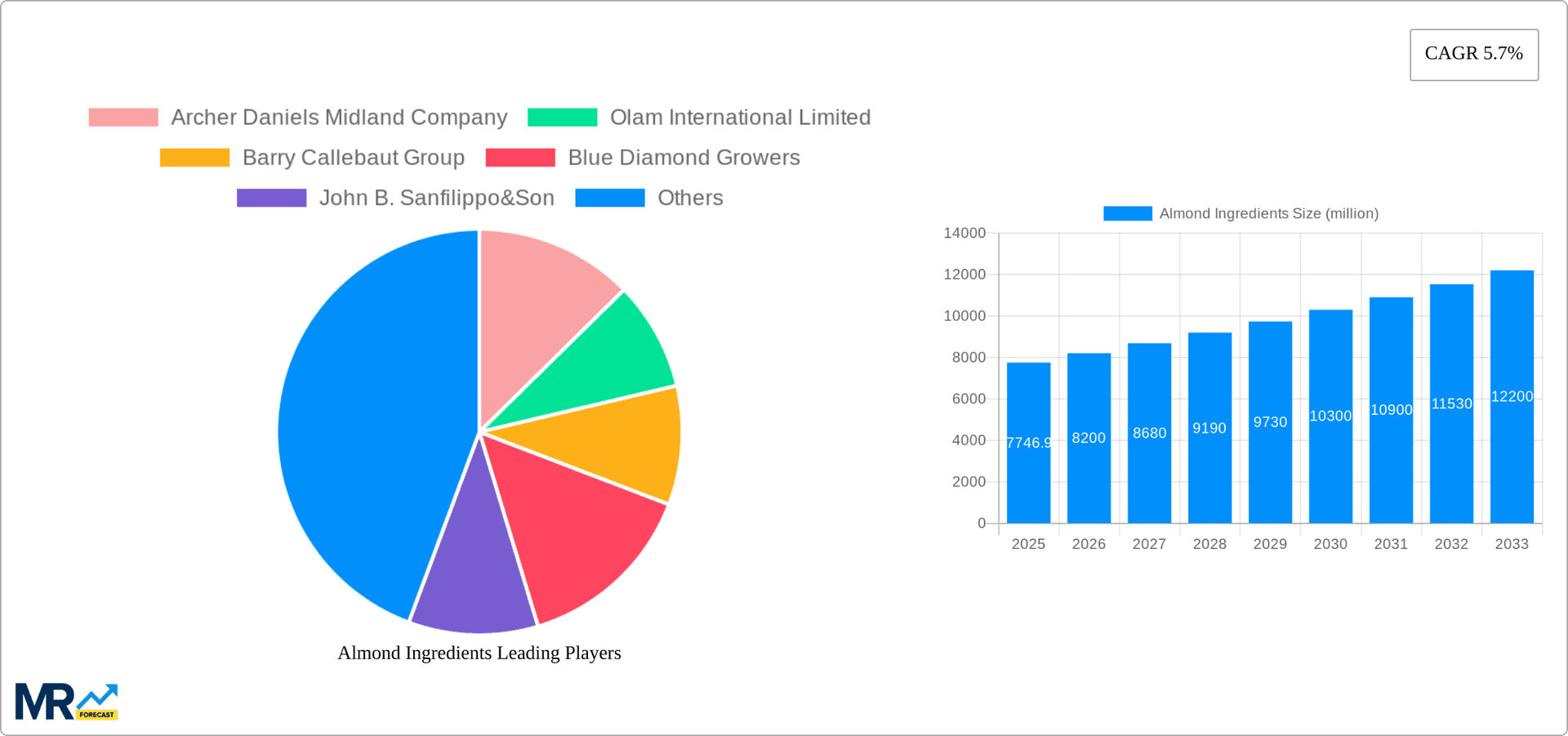 Almond Ingredients Research Report - Market Overview and Key Insights