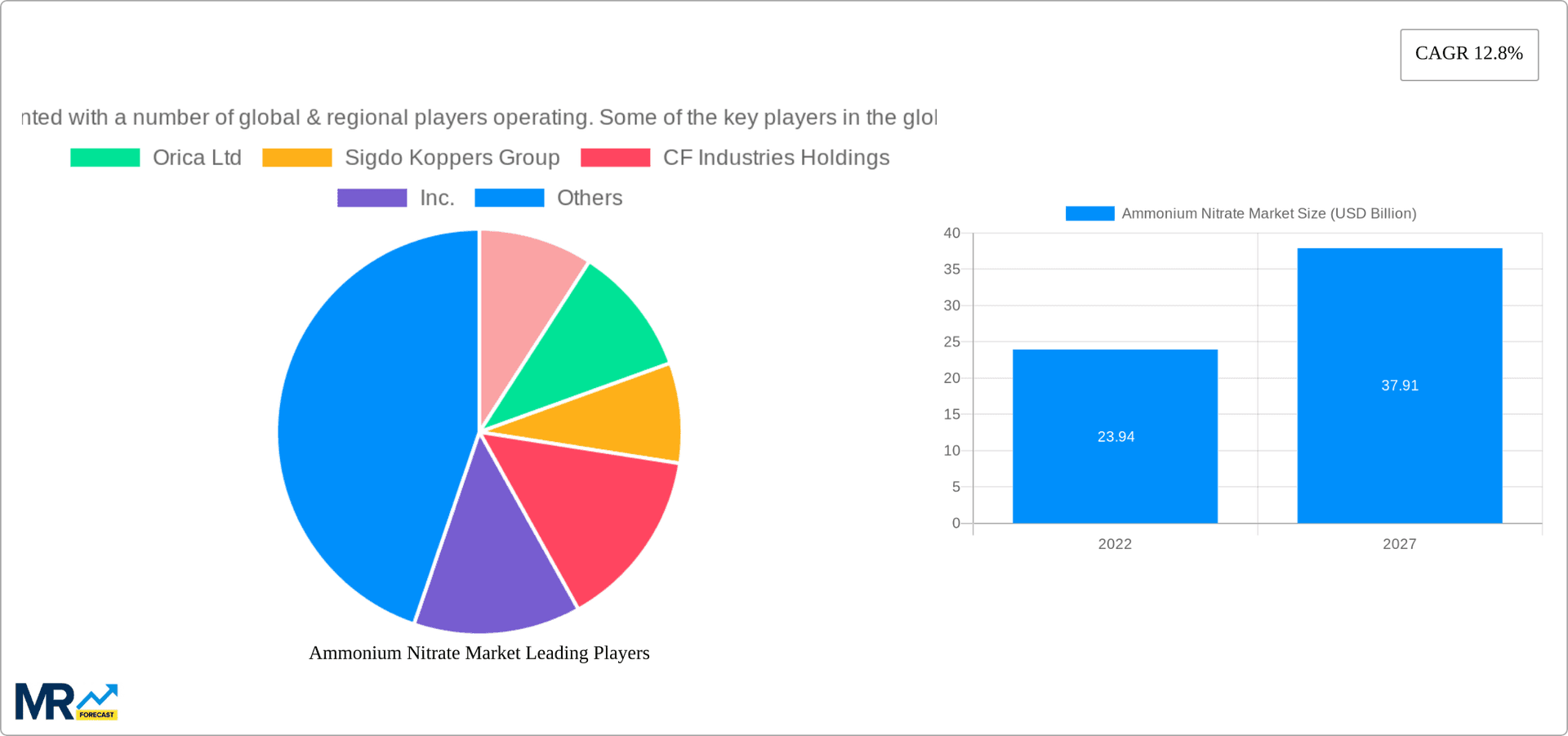 Ammonium Nitrate Market Research Report - Market Overview and Key Insights