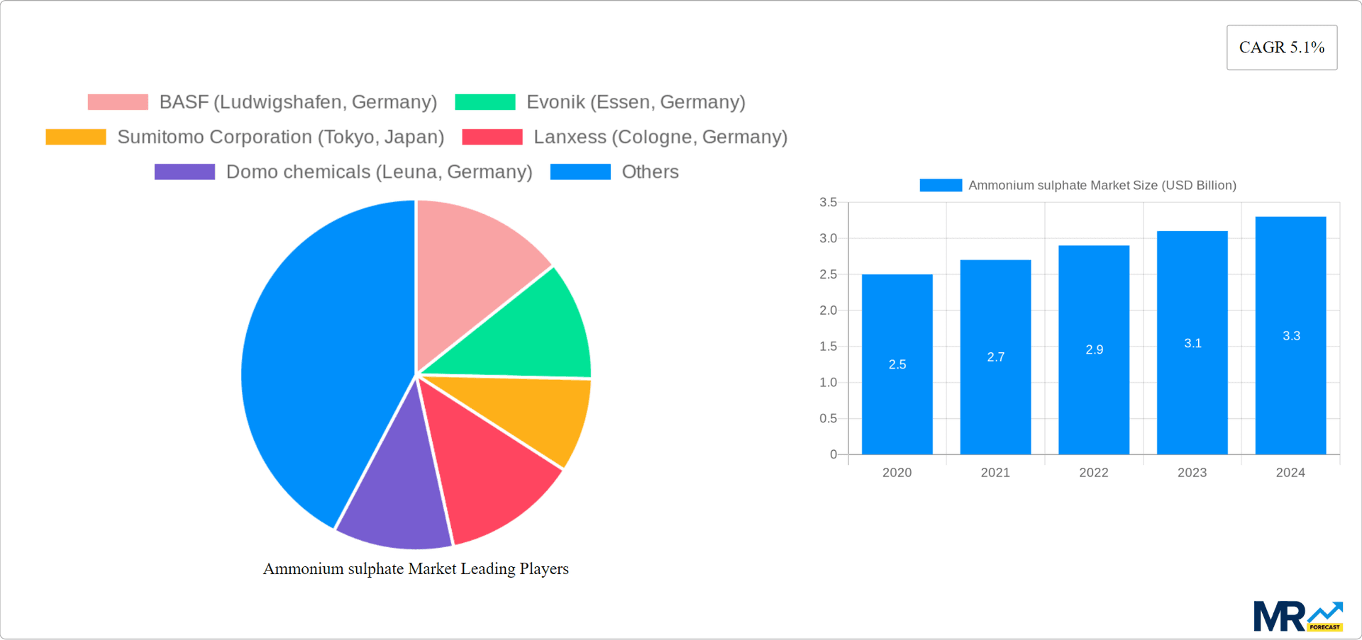 Ammonium sulphate Market Research Report - Market Overview and Key Insights