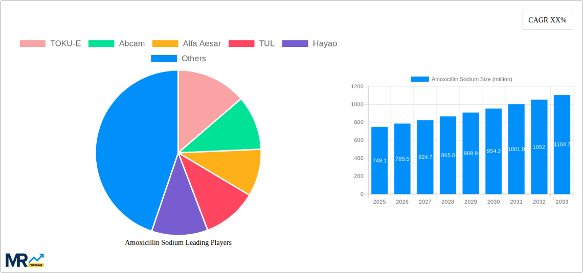 Amoxicillin Sodium Research Report - Market Overview and Key Insights