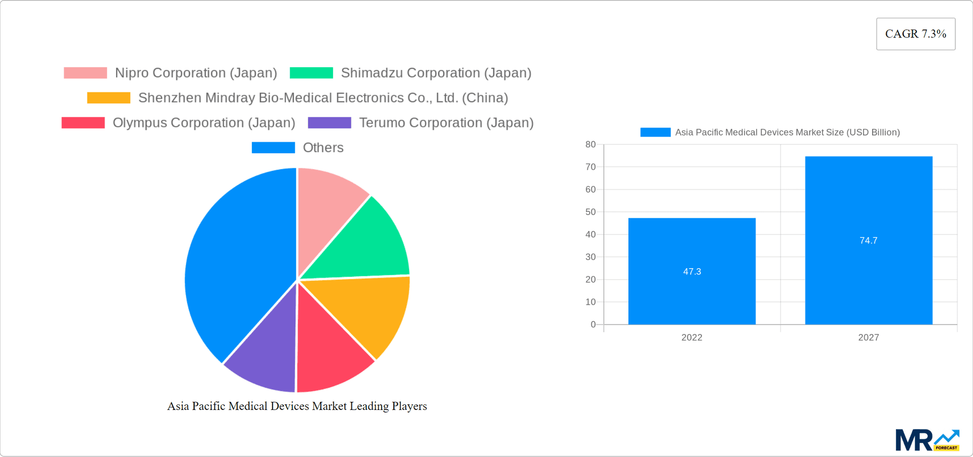 Asia Pacific Medical Devices Market Research Report - Market Overview and Key Insights