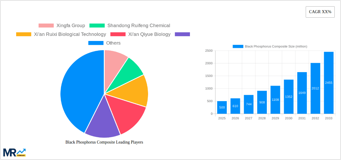 Black Phosphorus Composite Research Report - Market Overview and Key Insights