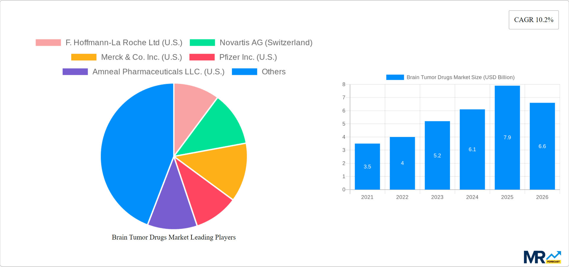 Brain Tumor Drugs Market Research Report - Market Overview and Key Insights