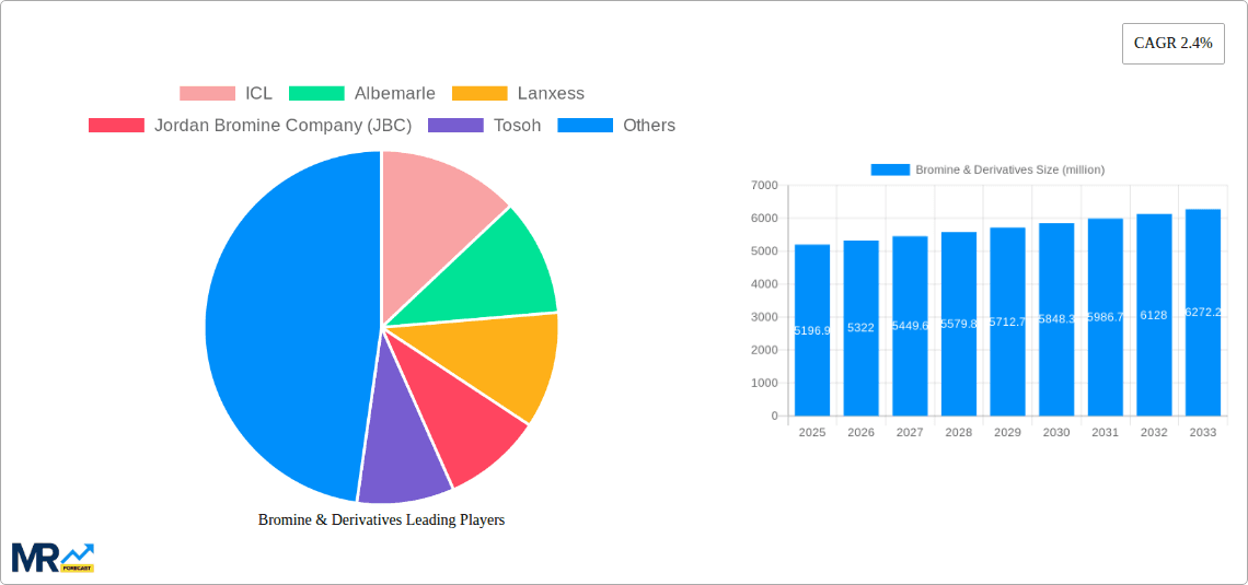 Bromine & Derivatives Research Report - Market Overview and Key Insights