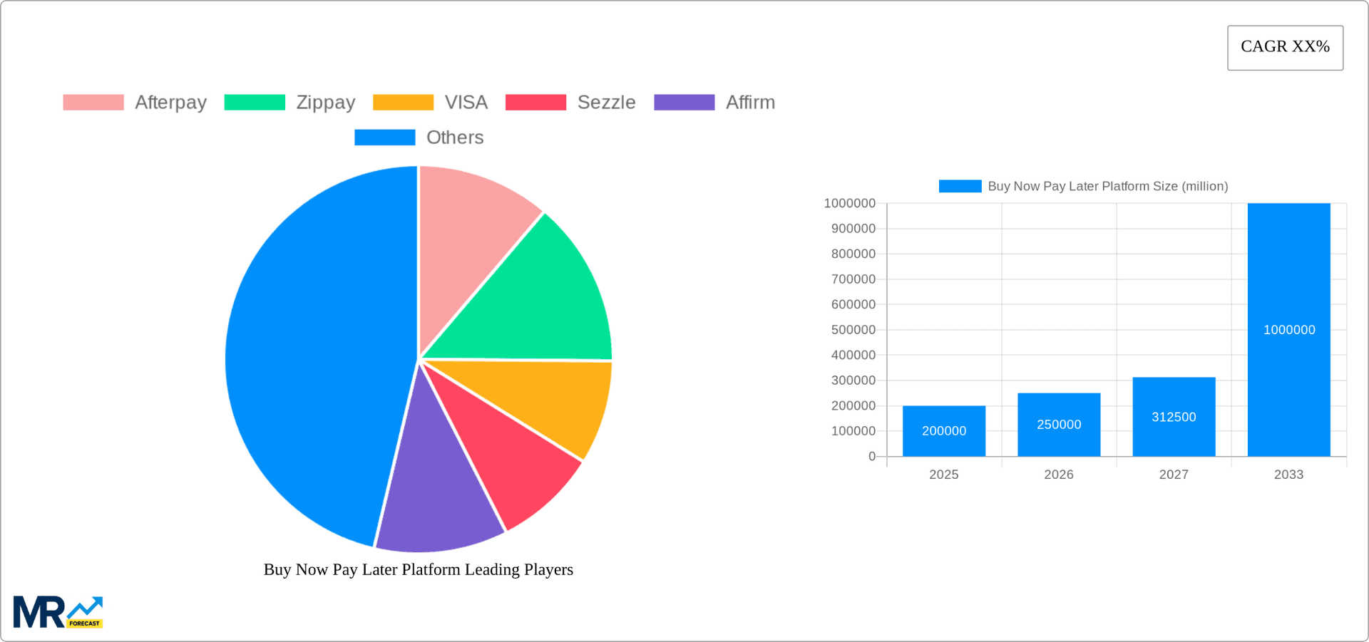Buy Now Pay Later Platform Research Report - Market Overview and Key Insights