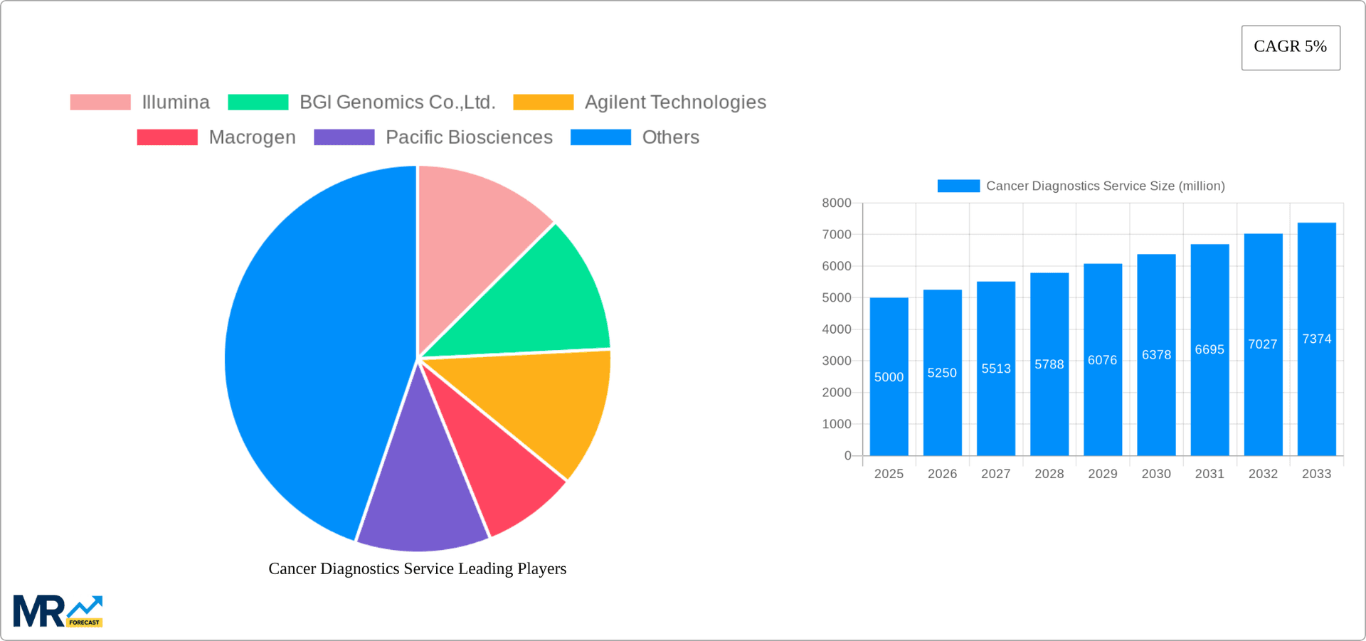 Cancer Diagnostics Service Research Report - Market Overview and Key Insights