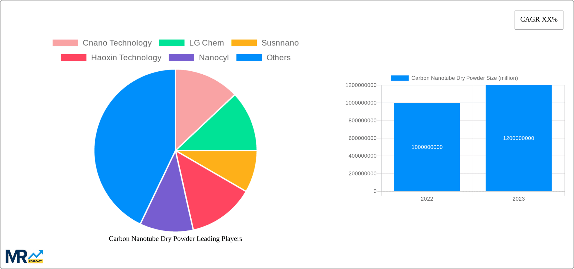 Carbon Nanotube Dry Powder Research Report - Market Overview and Key Insights