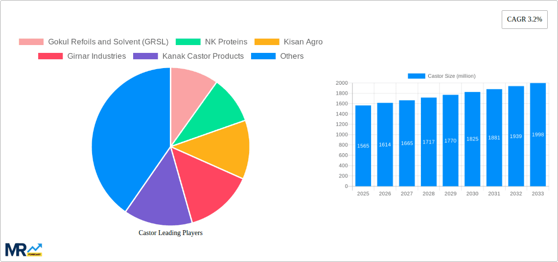 Castor Research Report - Market Overview and Key Insights