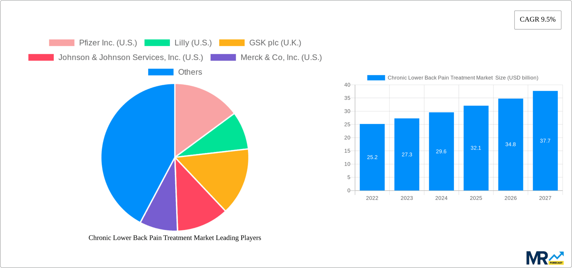 Chronic Lower Back Pain Treatment Market Research Report - Market Overview and Key Insights