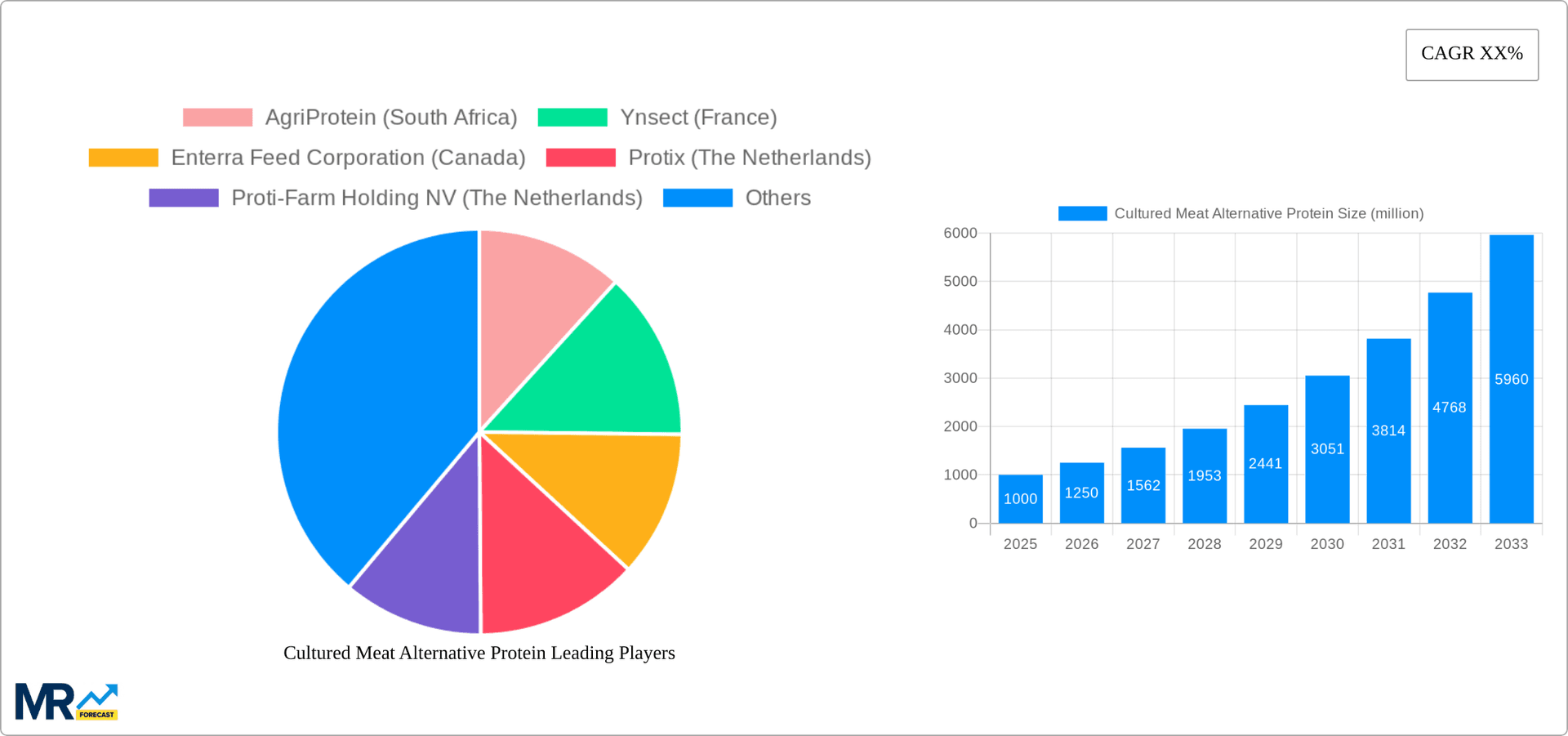 Cultured Meat Alternative Protein Research Report - Market Overview and Key Insights