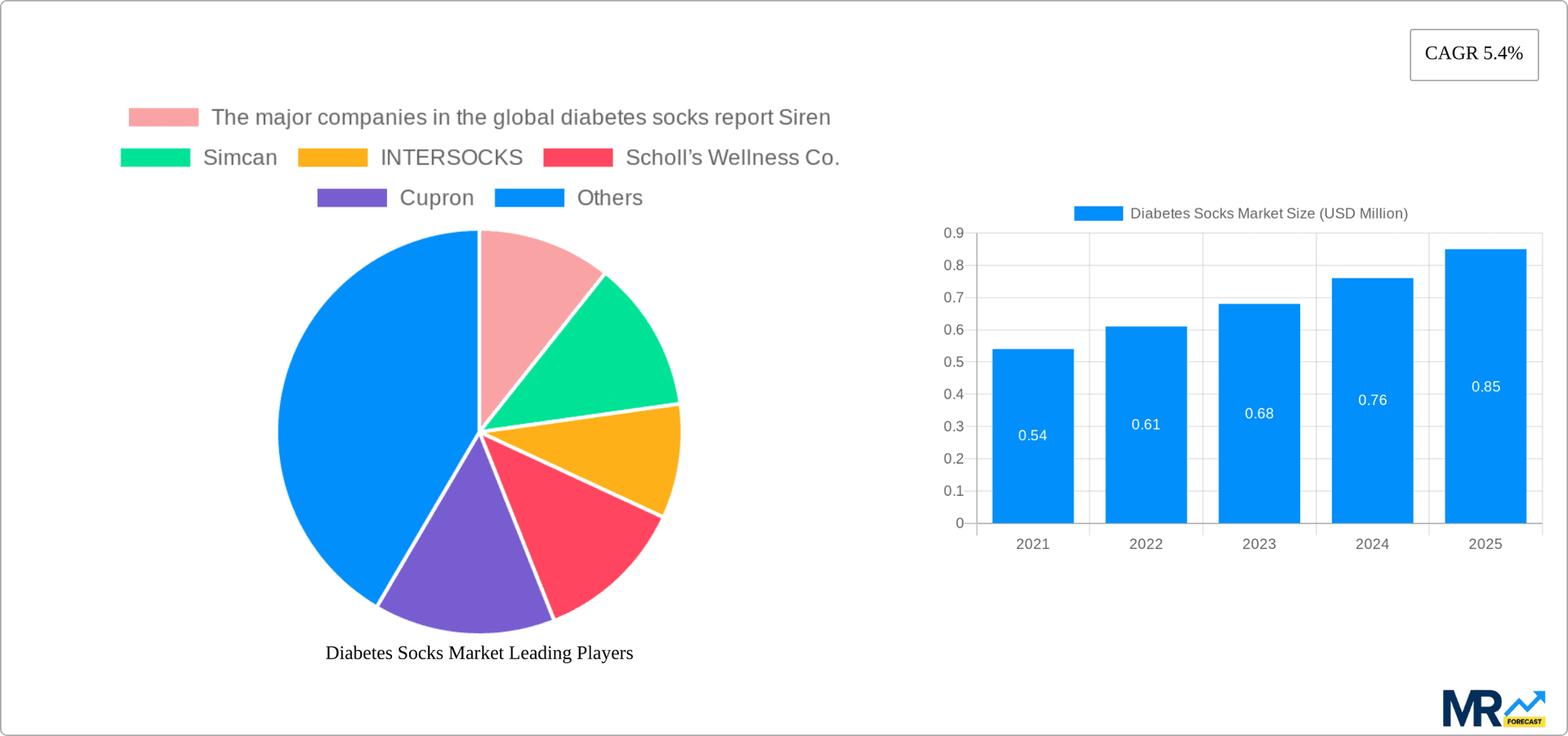 Diabetes Socks Market Research Report - Market Overview and Key Insights