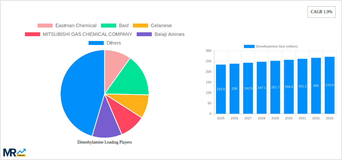 Dimethylamine Research Report - Market Overview and Key Insights