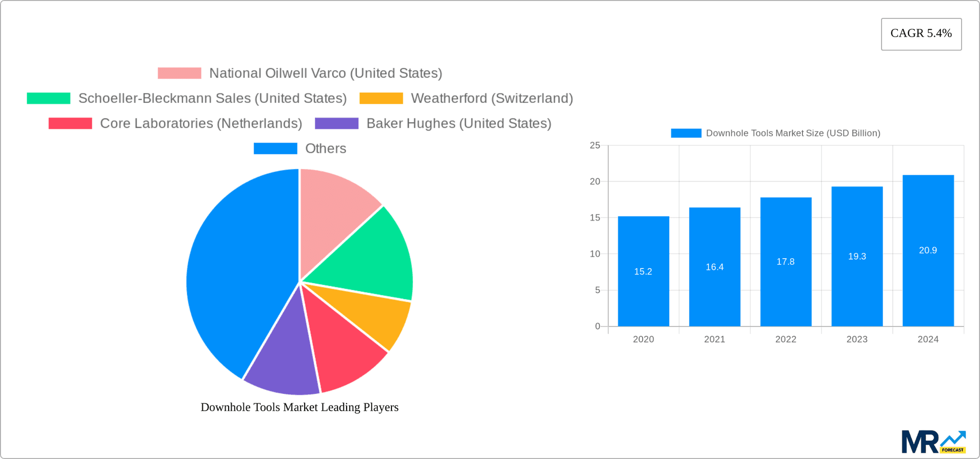 Downhole Tools Market Research Report - Market Overview and Key Insights
