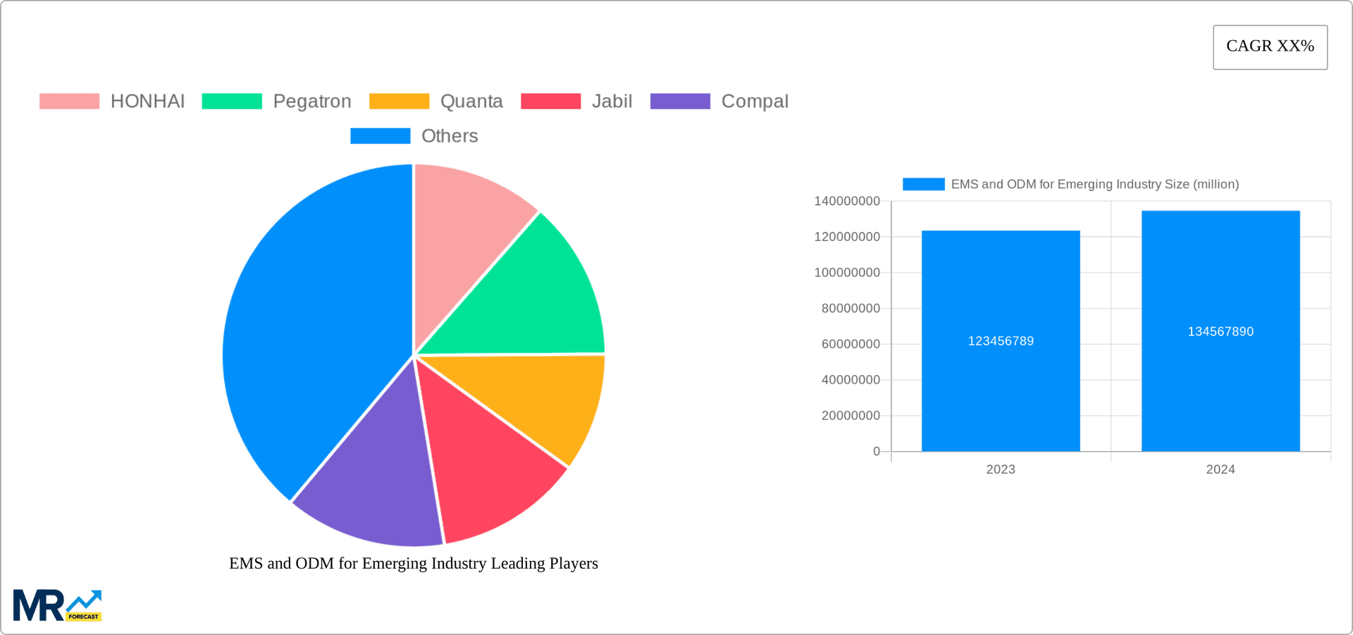 EMS and ODM for Emerging Industry Research Report - Market Overview and Key Insights