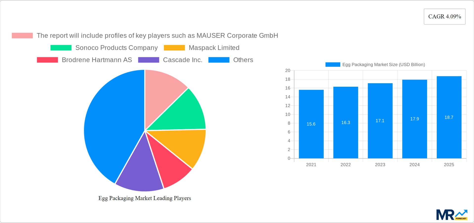 Egg Packaging Market Research Report - Market Overview and Key Insights