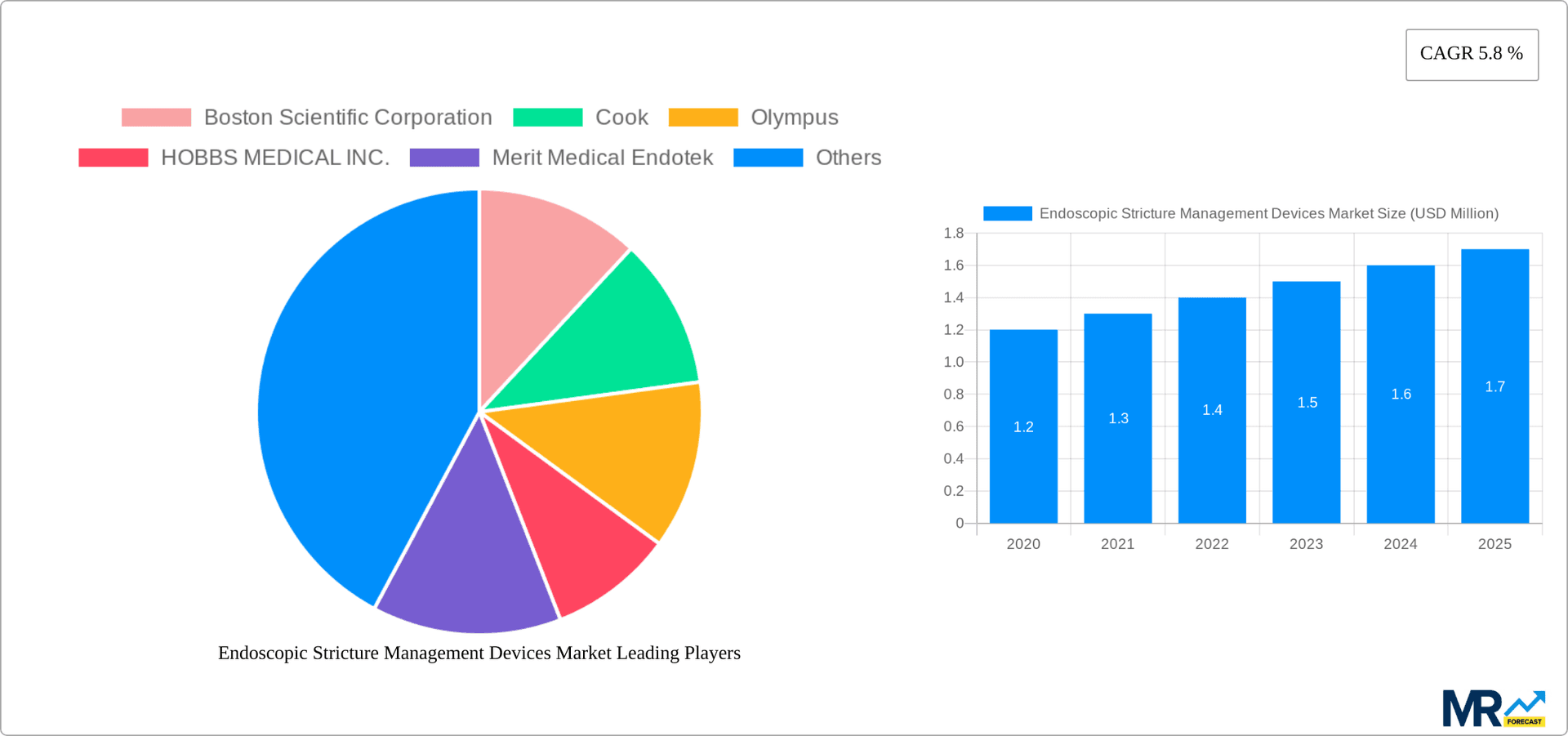 Endoscopic Stricture Management Devices Market Research Report - Market Overview and Key Insights