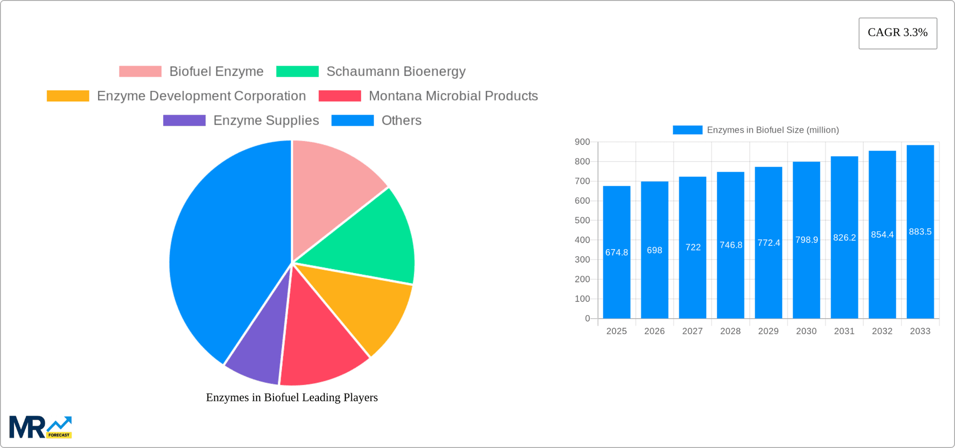 Enzymes in Biofuel Research Report - Market Overview and Key Insights