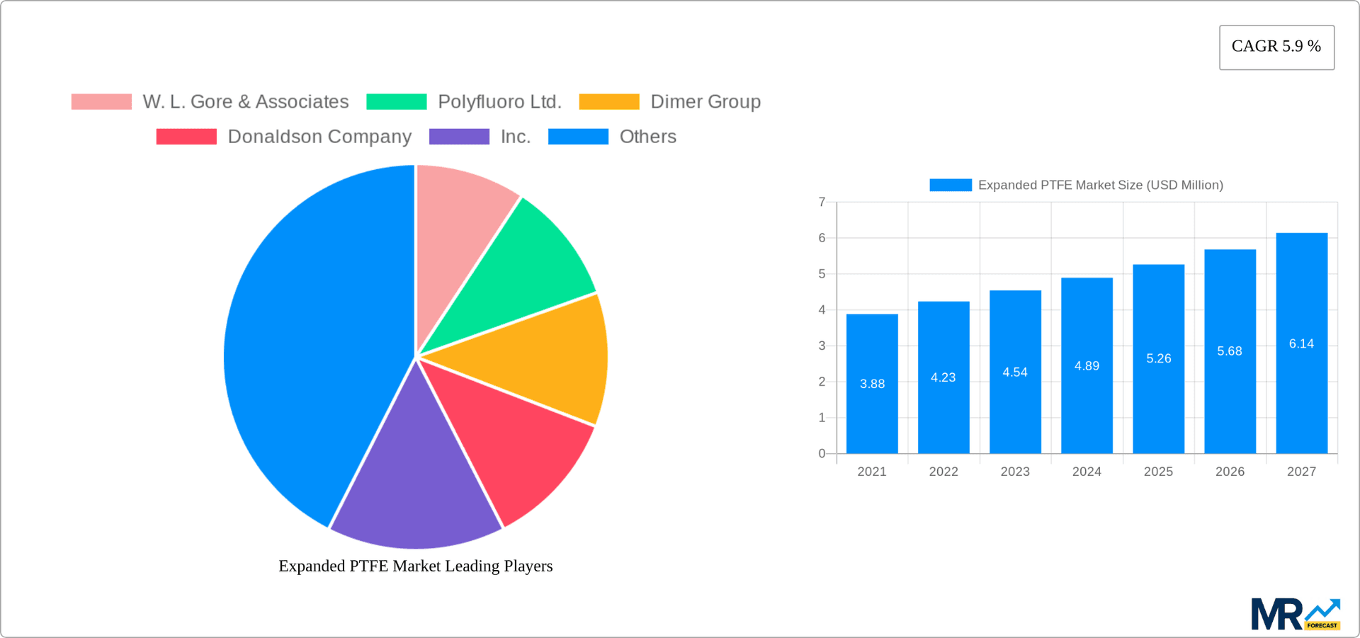 Expanded PTFE Market Research Report - Market Overview and Key Insights