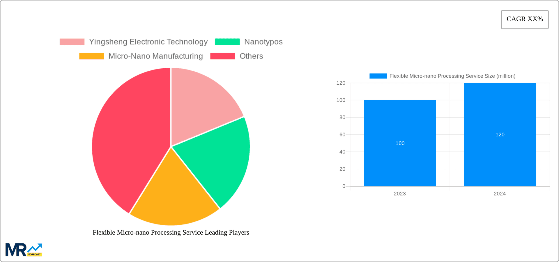 Flexible Micro-nano Processing Service Research Report - Market Overview and Key Insights