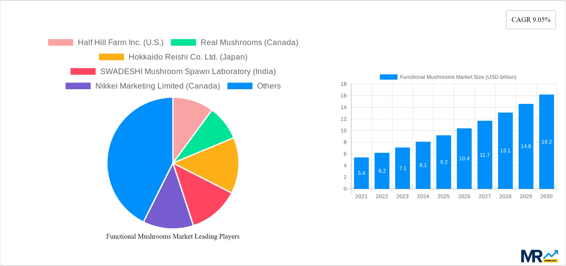 Functional Mushrooms Market Research Report - Market Overview and Key Insights