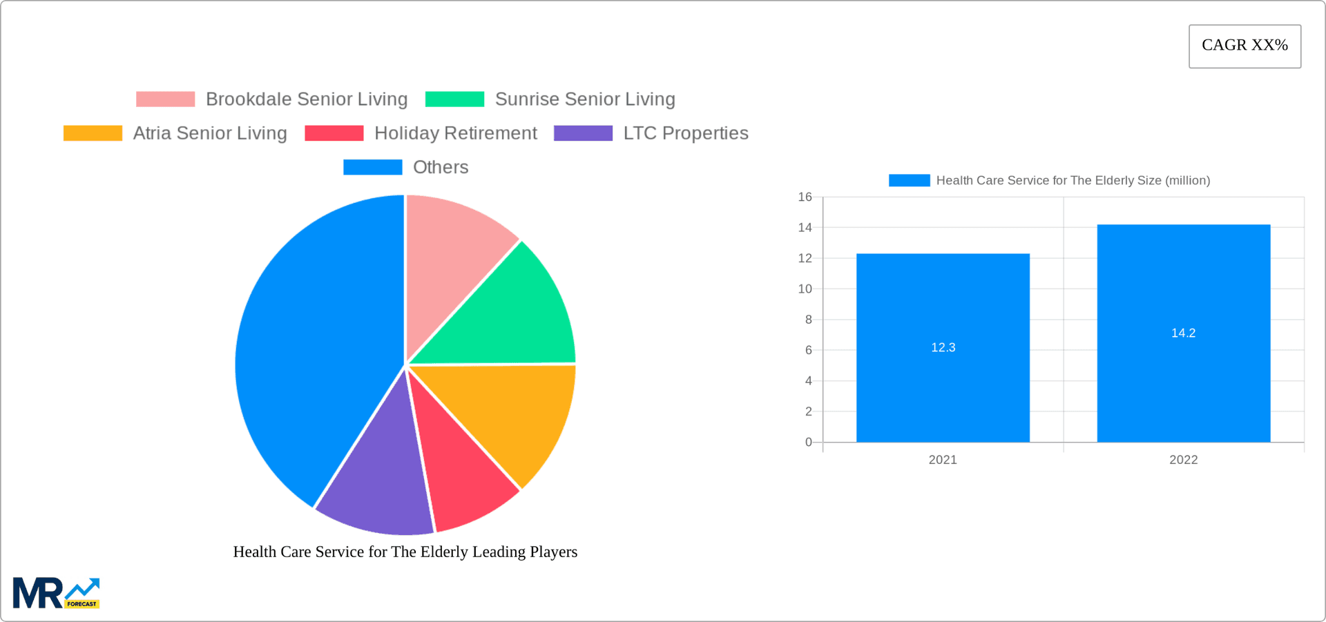 Health Care Service for The Elderly Research Report - Market Overview and Key Insights