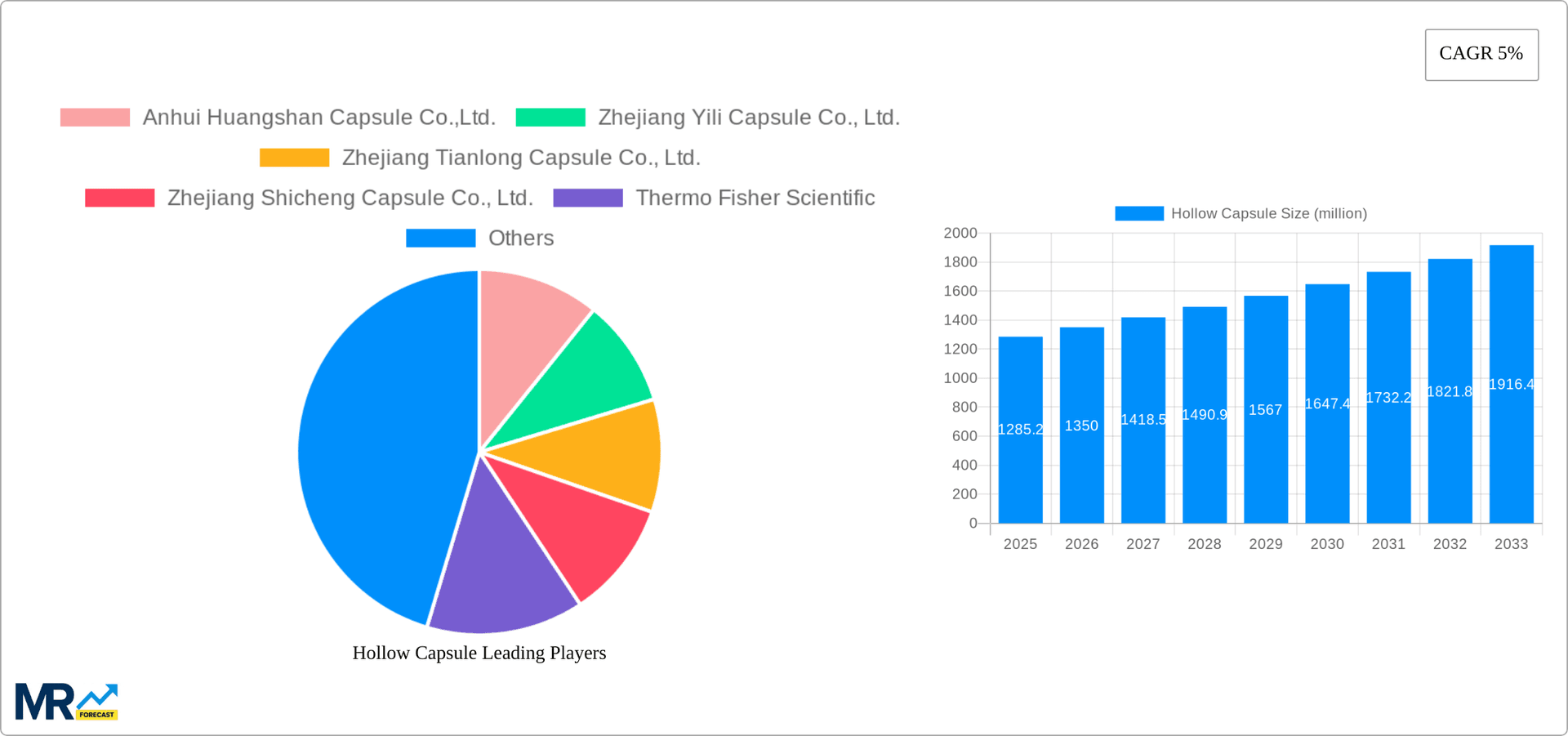 Hollow Capsule Research Report - Market Overview and Key Insights