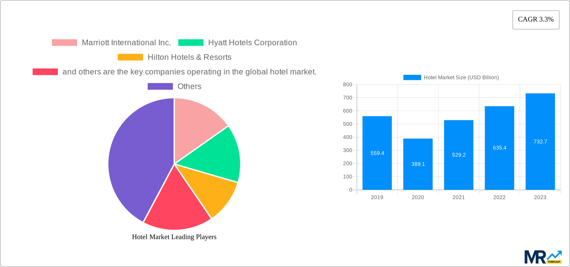Hotel Market Research Report - Market Overview and Key Insights