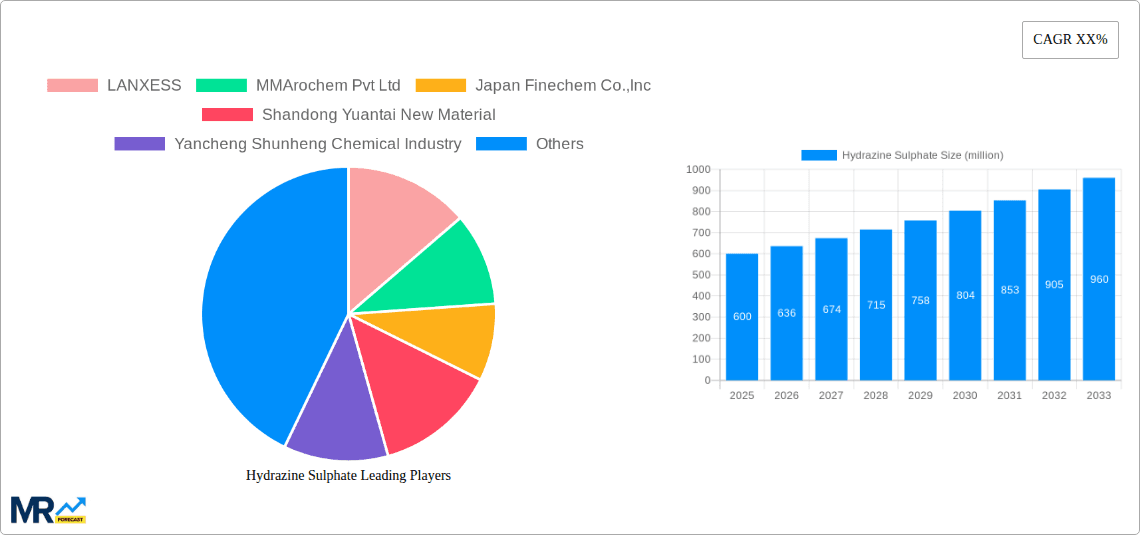 Hydrazine Sulphate Research Report - Market Overview and Key Insights