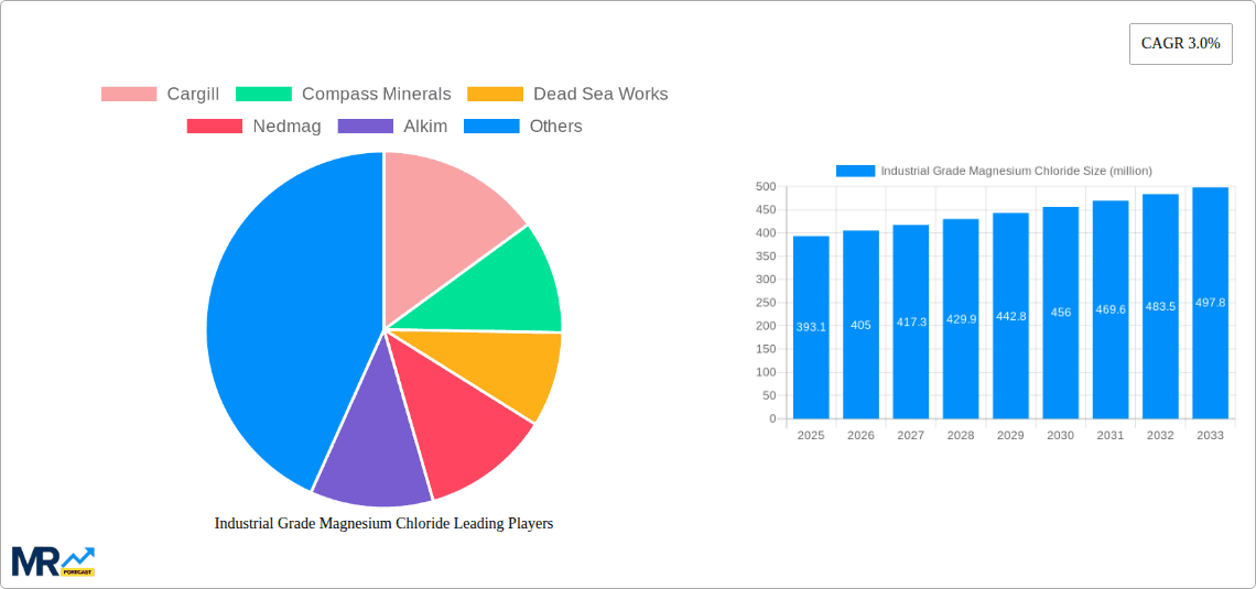 Industrial Grade Magnesium Chloride Research Report - Market Overview and Key Insights