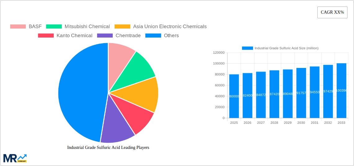 Industrial Grade Sulfuric Acid Research Report - Market Overview and Key Insights