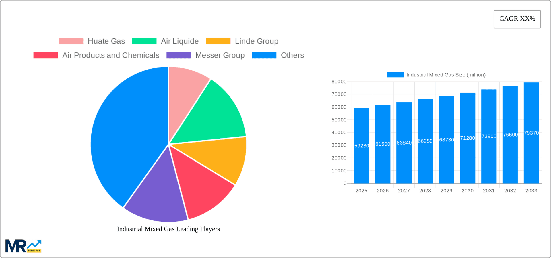 Industrial Mixed Gas Research Report - Market Overview and Key Insights