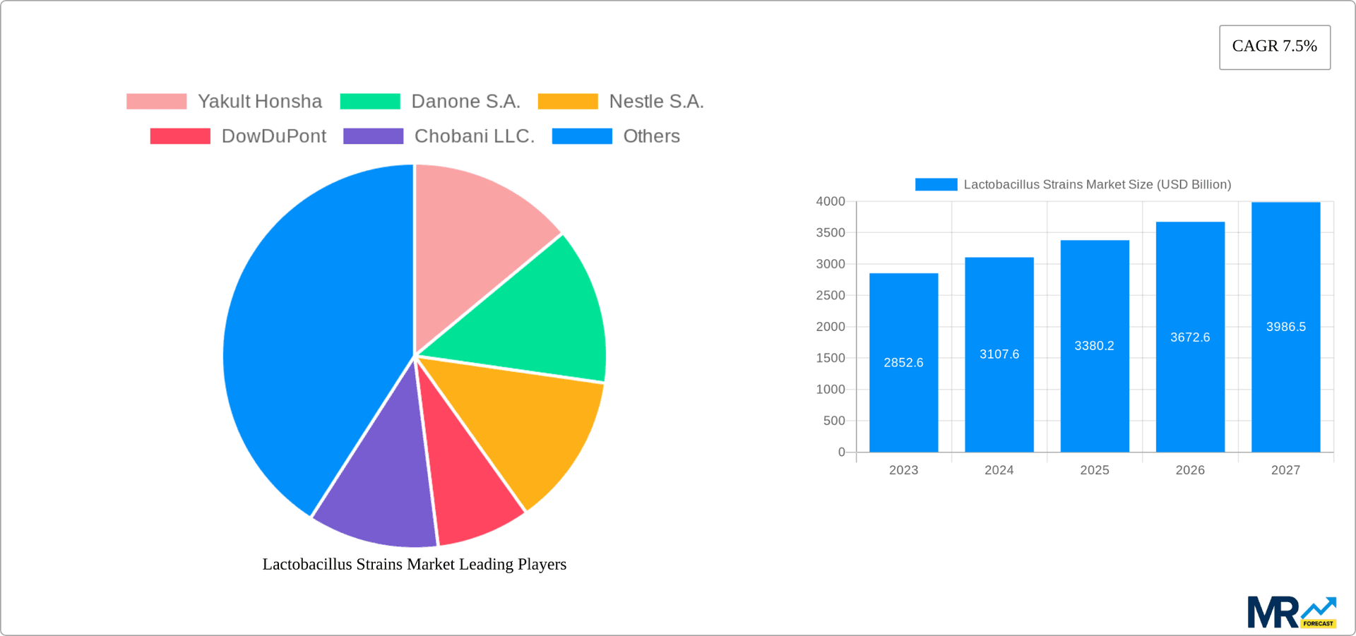 Lactobacillus Strains Market Research Report - Market Overview and Key Insights