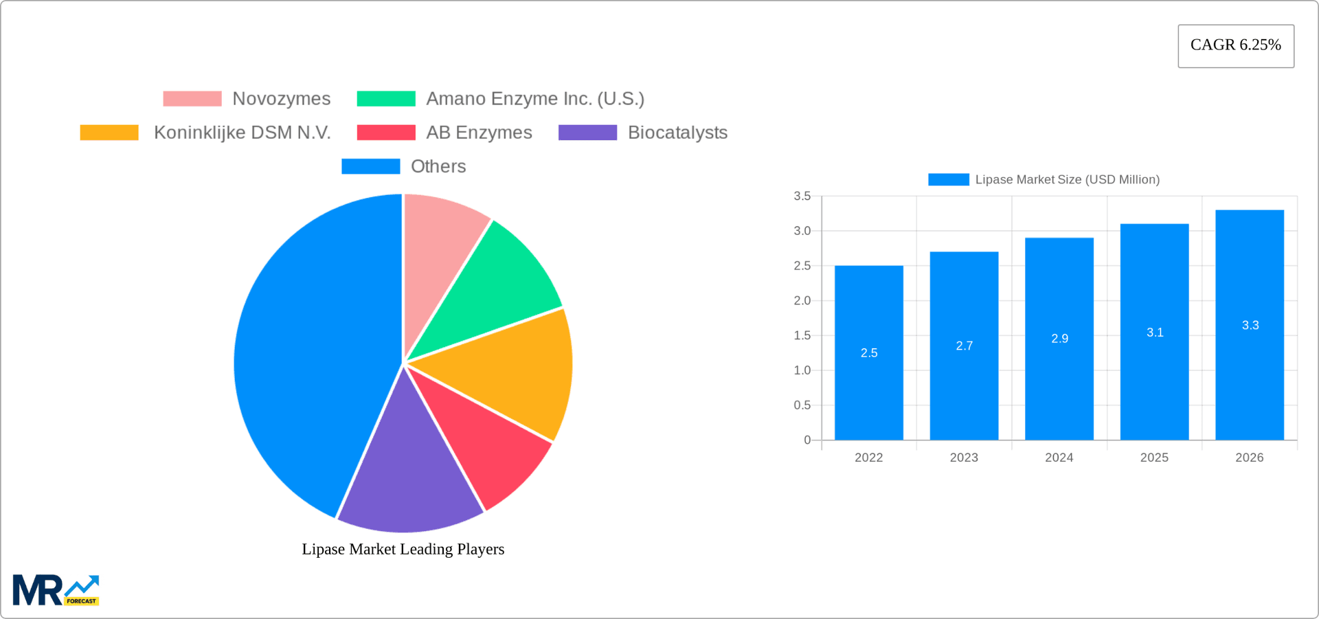 Lipase Market Research Report - Market Overview and Key Insights