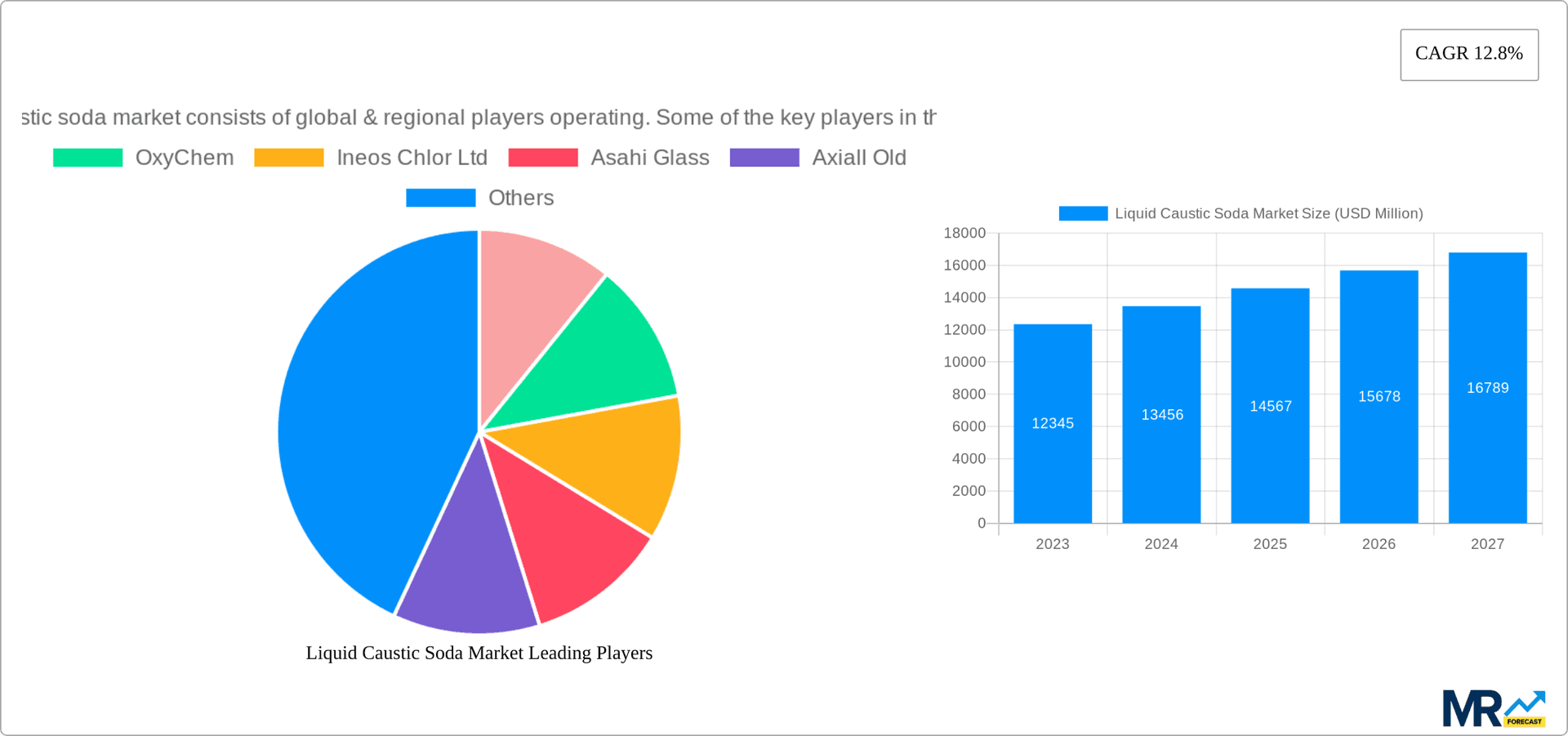 Liquid Caustic Soda Market Research Report - Market Overview and Key Insights