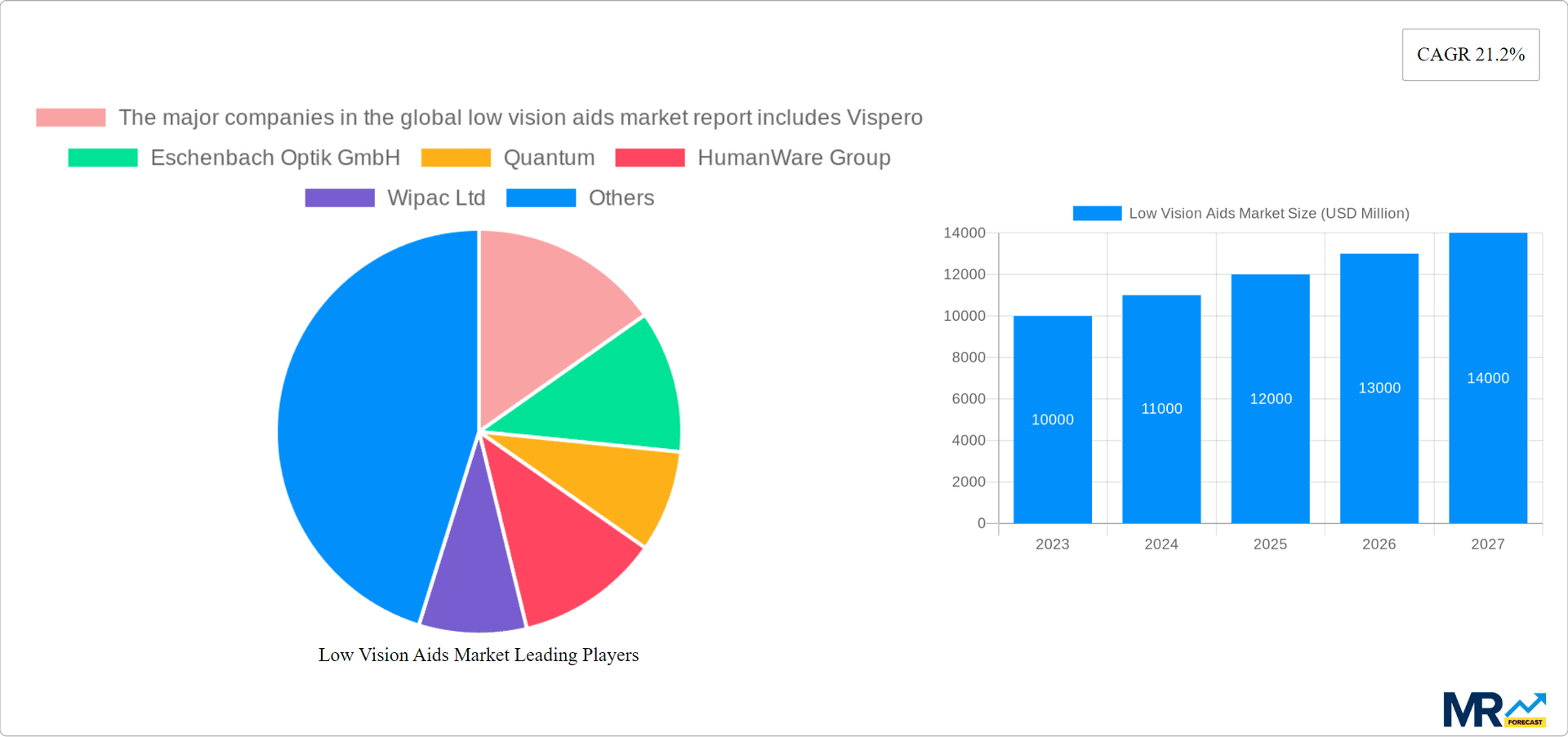 Low Vision Aids Market Research Report - Market Overview and Key Insights