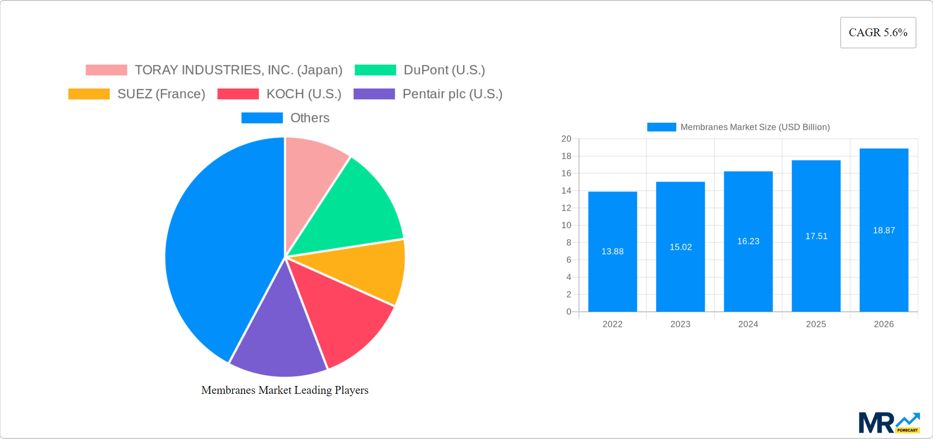 Membranes Market Research Report - Market Overview and Key Insights