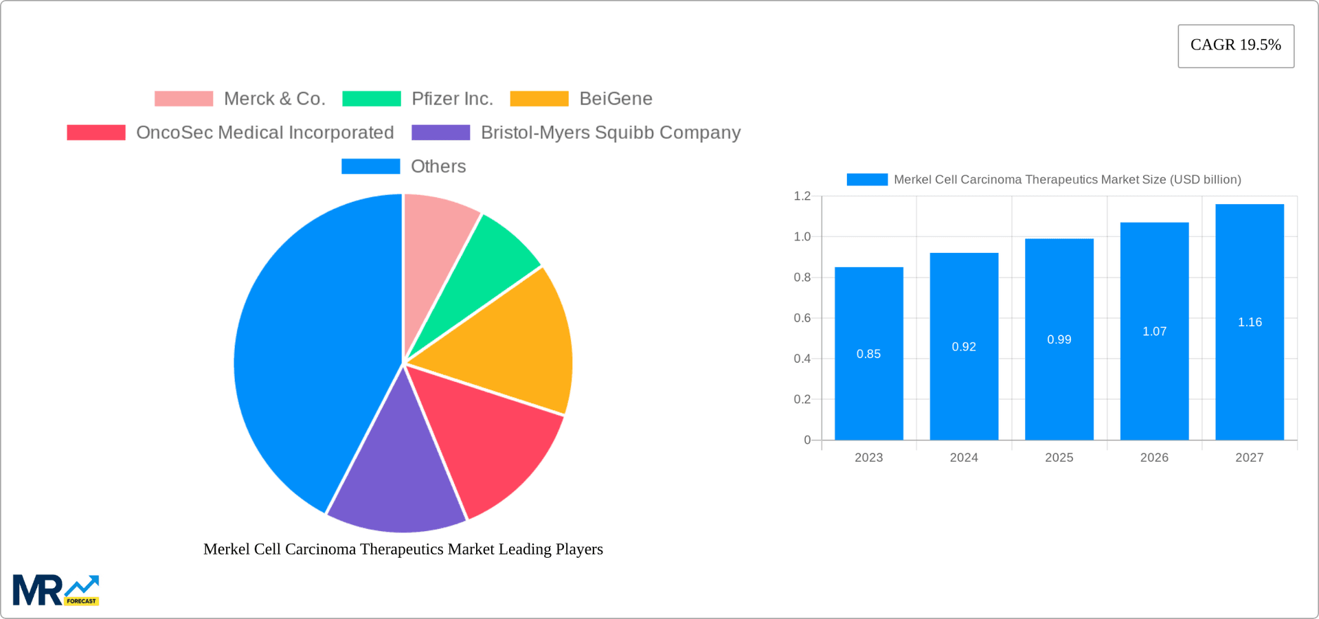 Merkel Cell Carcinoma Therapeutics Market Research Report - Market Overview and Key Insights