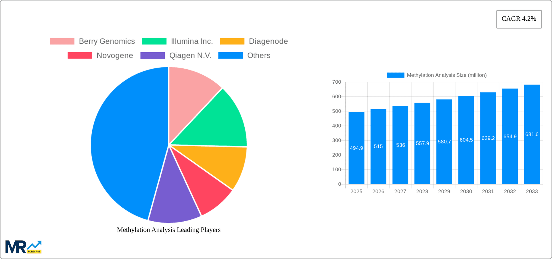 Methylation Analysis Research Report - Market Overview and Key Insights