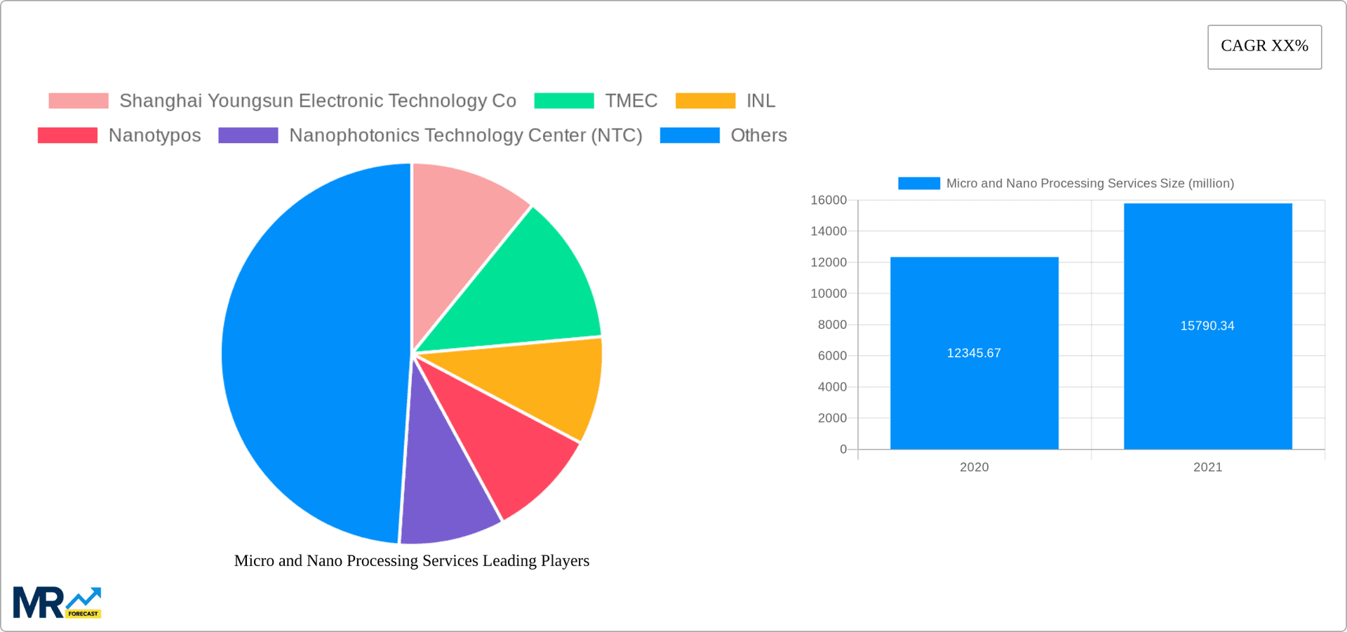 Micro and Nano Processing Services Research Report - Market Overview and Key Insights