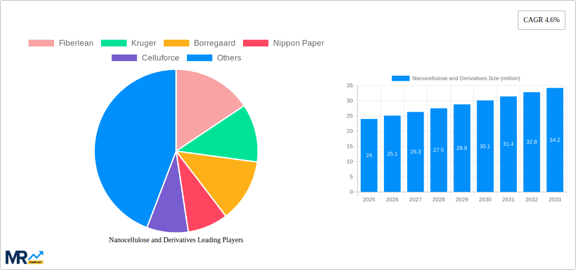 Nanocellulose and Derivatives Research Report - Market Overview and Key Insights