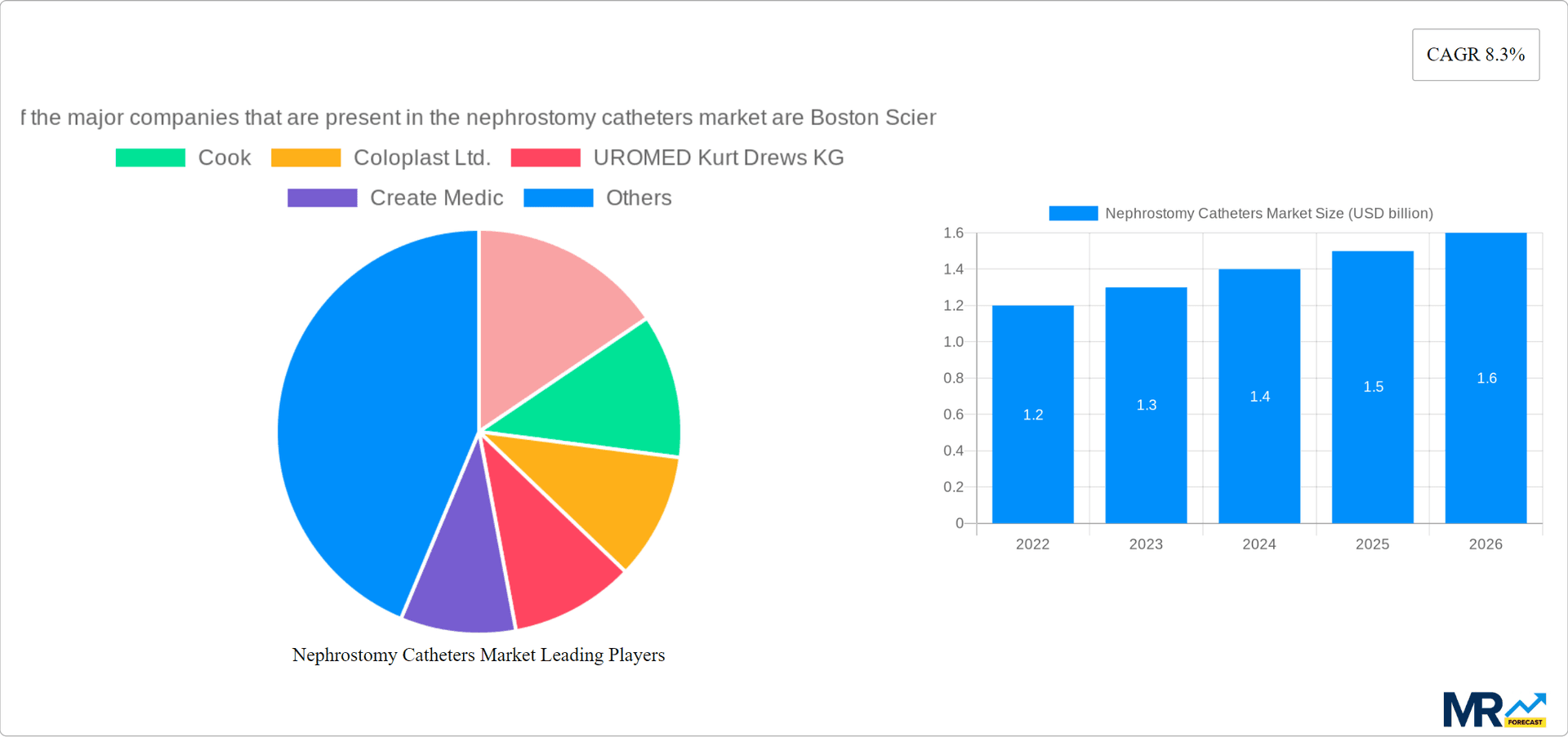 Nephrostomy Catheters Market Research Report - Market Overview and Key Insights