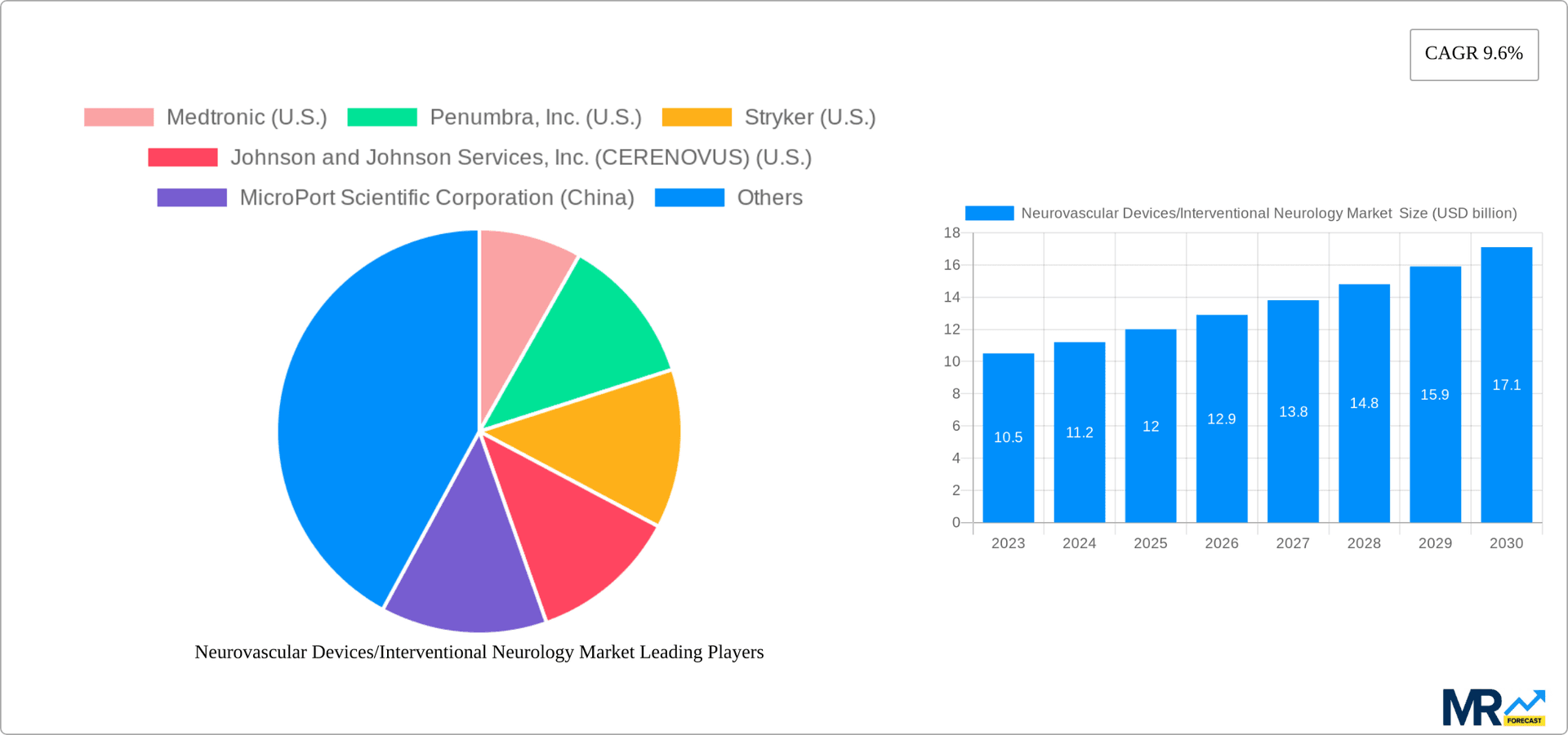 Neurovascular Devices/Interventional Neurology Market Research Report - Market Overview and Key Insights