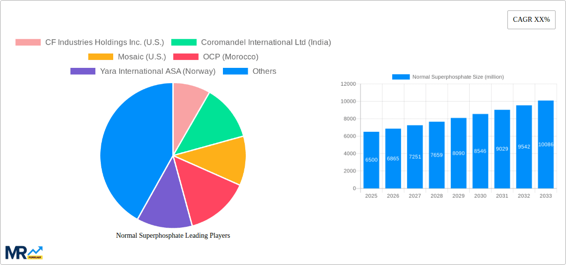 Normal Superphosphate Research Report - Market Overview and Key Insights