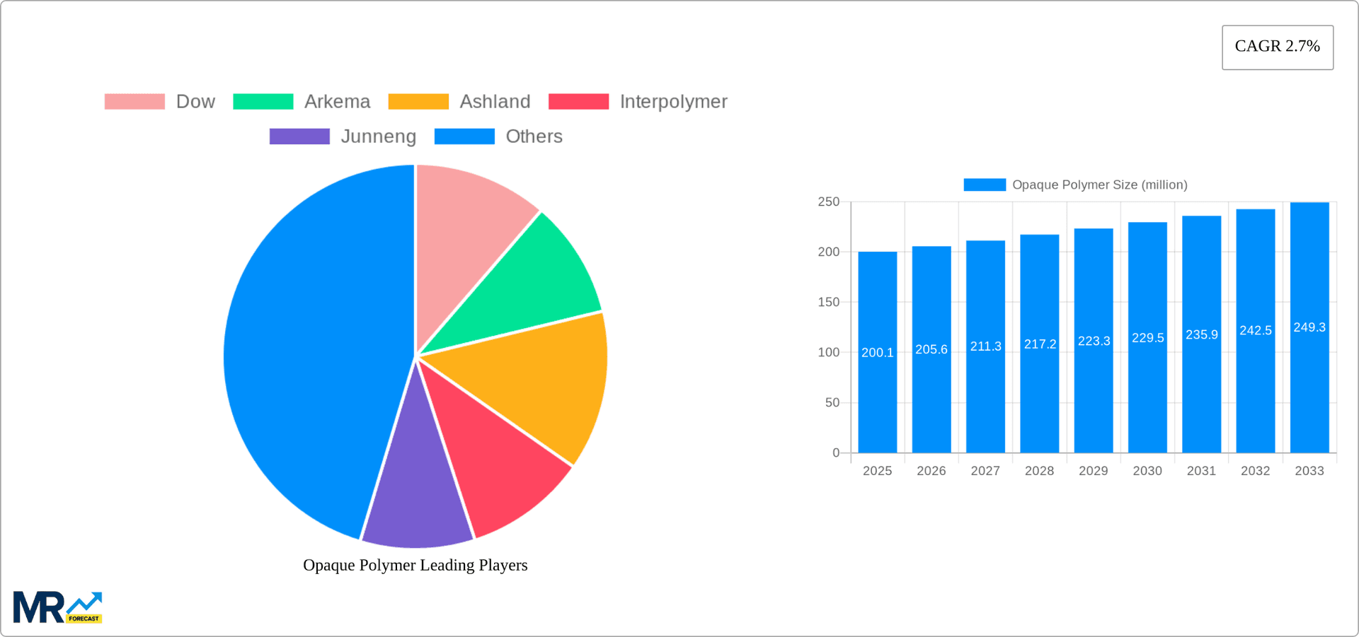 Opaque Polymer Research Report - Market Overview and Key Insights