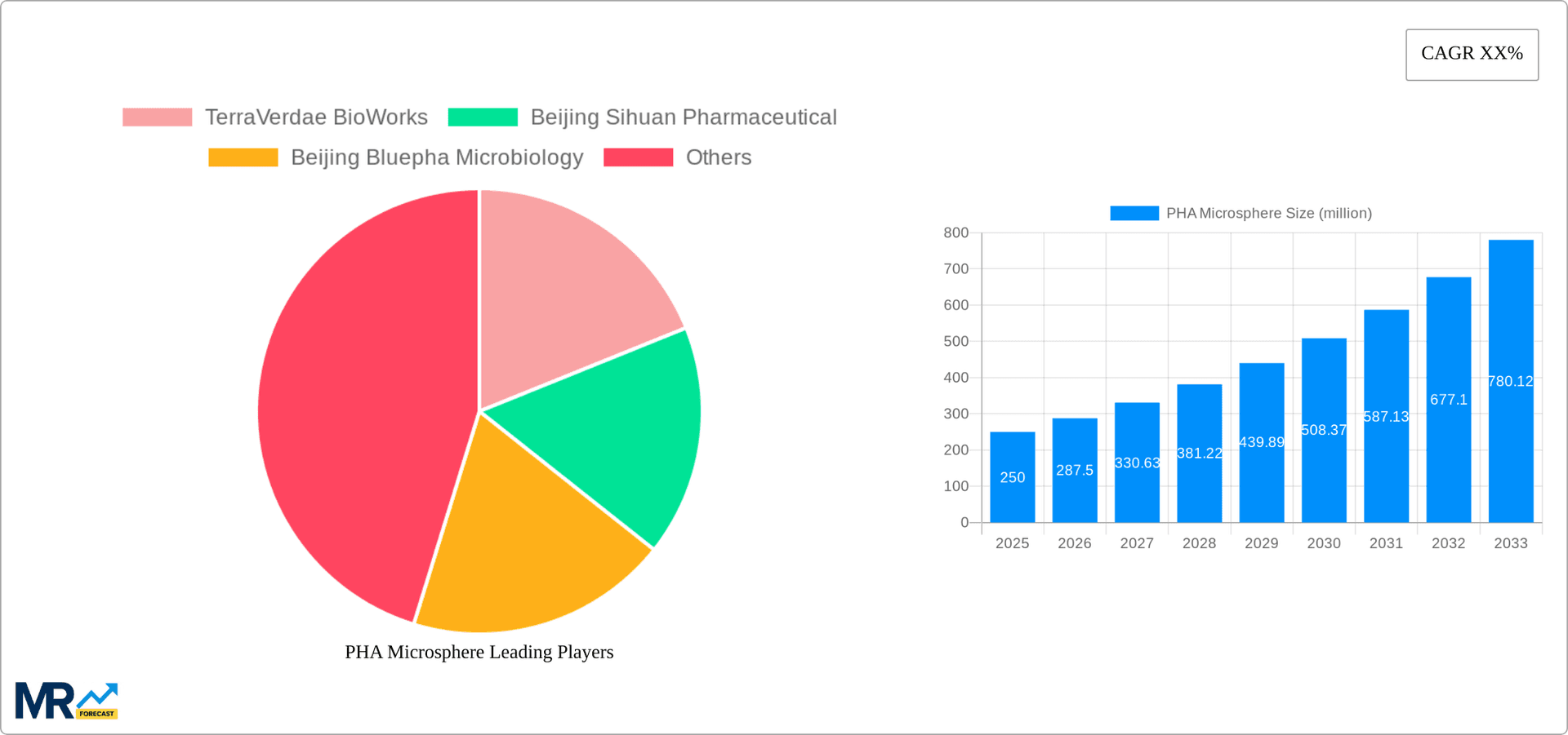 PHA Microsphere Research Report - Market Overview and Key Insights