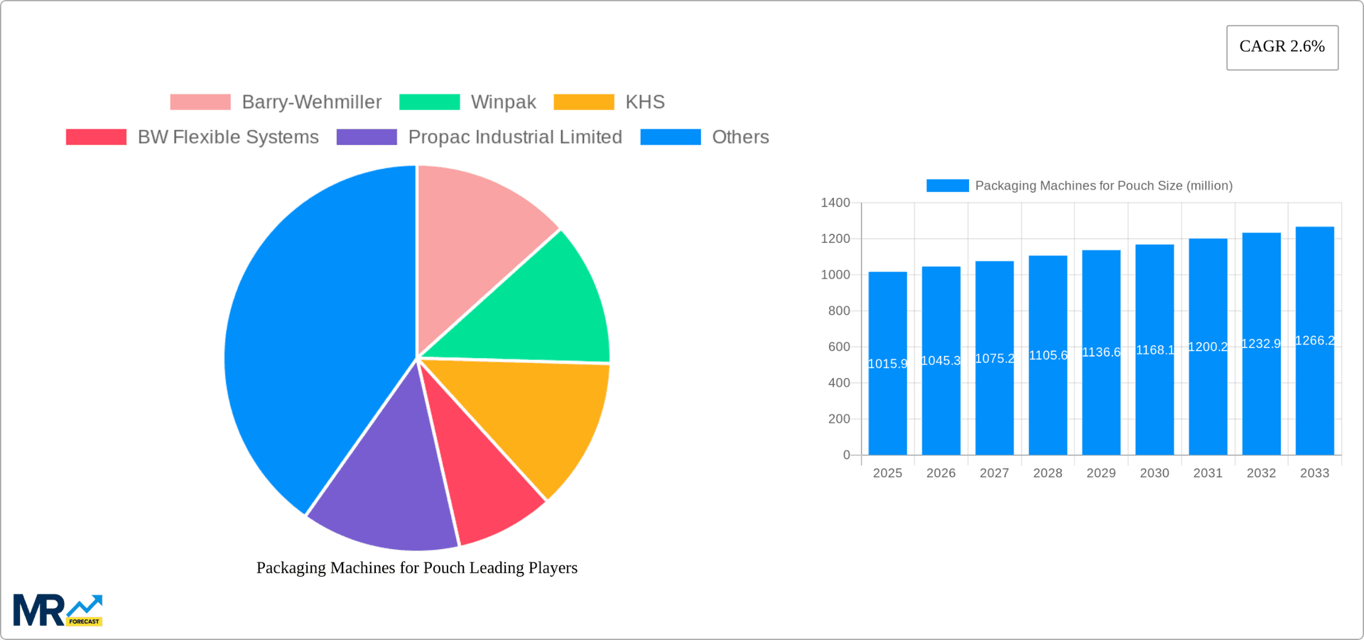 Packaging Machines for Pouch Research Report - Market Overview and Key Insights