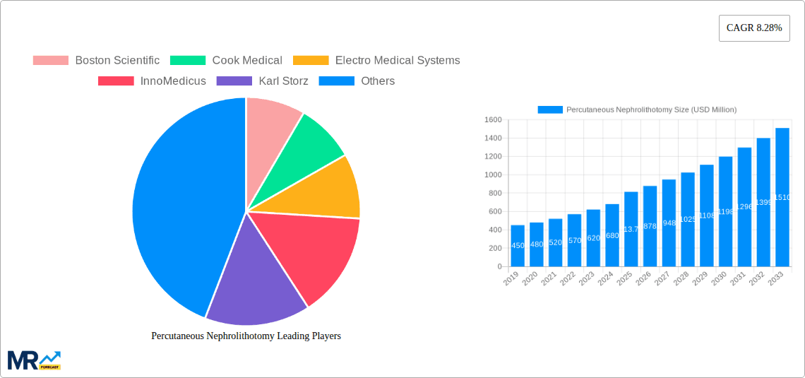 Percutaneous Nephrolithotomy Research Report - Market Overview and Key Insights