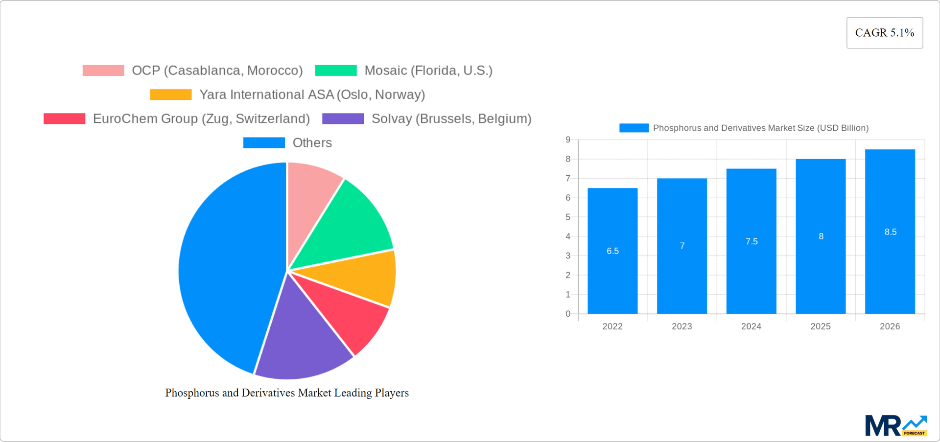 Phosphorus and Derivatives Market Research Report - Market Overview and Key Insights