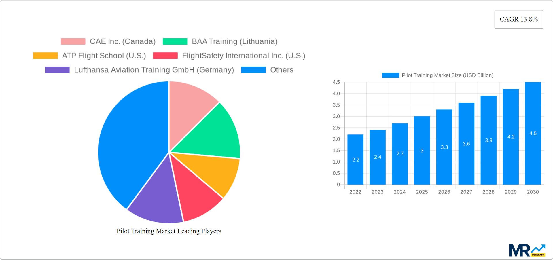 Pilot Training Market Research Report - Market Overview and Key Insights