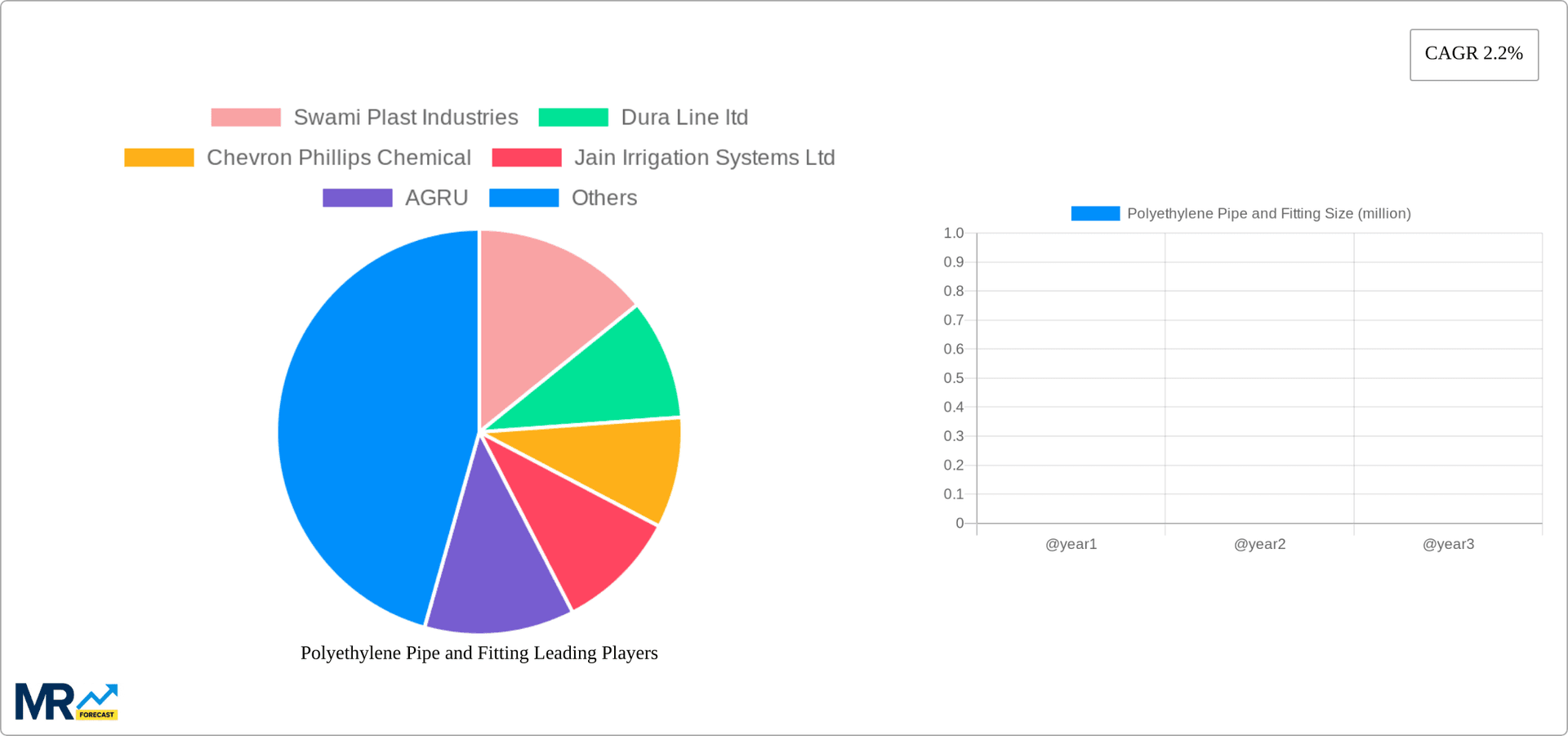 Polyethylene Pipe and Fitting Research Report - Market Overview and Key Insights